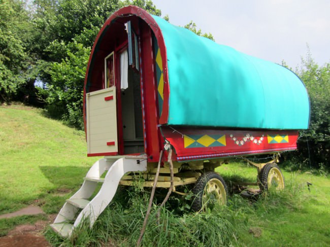 rosy_wagon_mini
